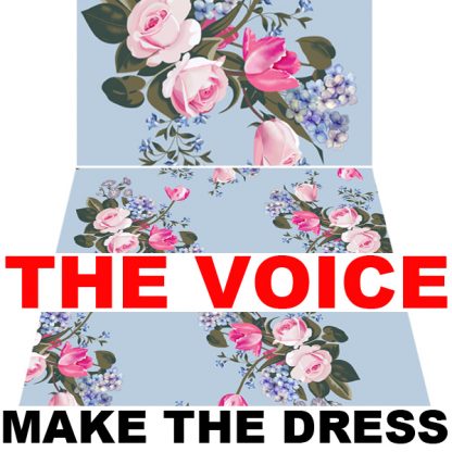 Chevel Shepherd Dress from THE VOICE IS HERE!